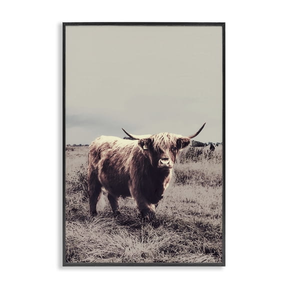 Stupell Industries Horned Cattle in Pasture Black Framed Giclee Art, design by SD Graphics Studio