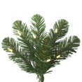 thumbnail image 2 of Vickerman C164027LED Oregon Fir Wide Angle Christmas Tree with Warm White LED Lights, 26 x 19 in., 2 of 4