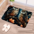 thumbnail image 5 of Owl Polyester Non-Slip Machine Washable Door Rug Game Mat Kitchen Rug Office Rugs, 5 of 6