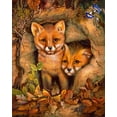 thumbnail image 2 of Strubel, Klaus 20x24 White Modern Wood Framed Museum Art Print Titled - Fox Cubs, 2 of 4