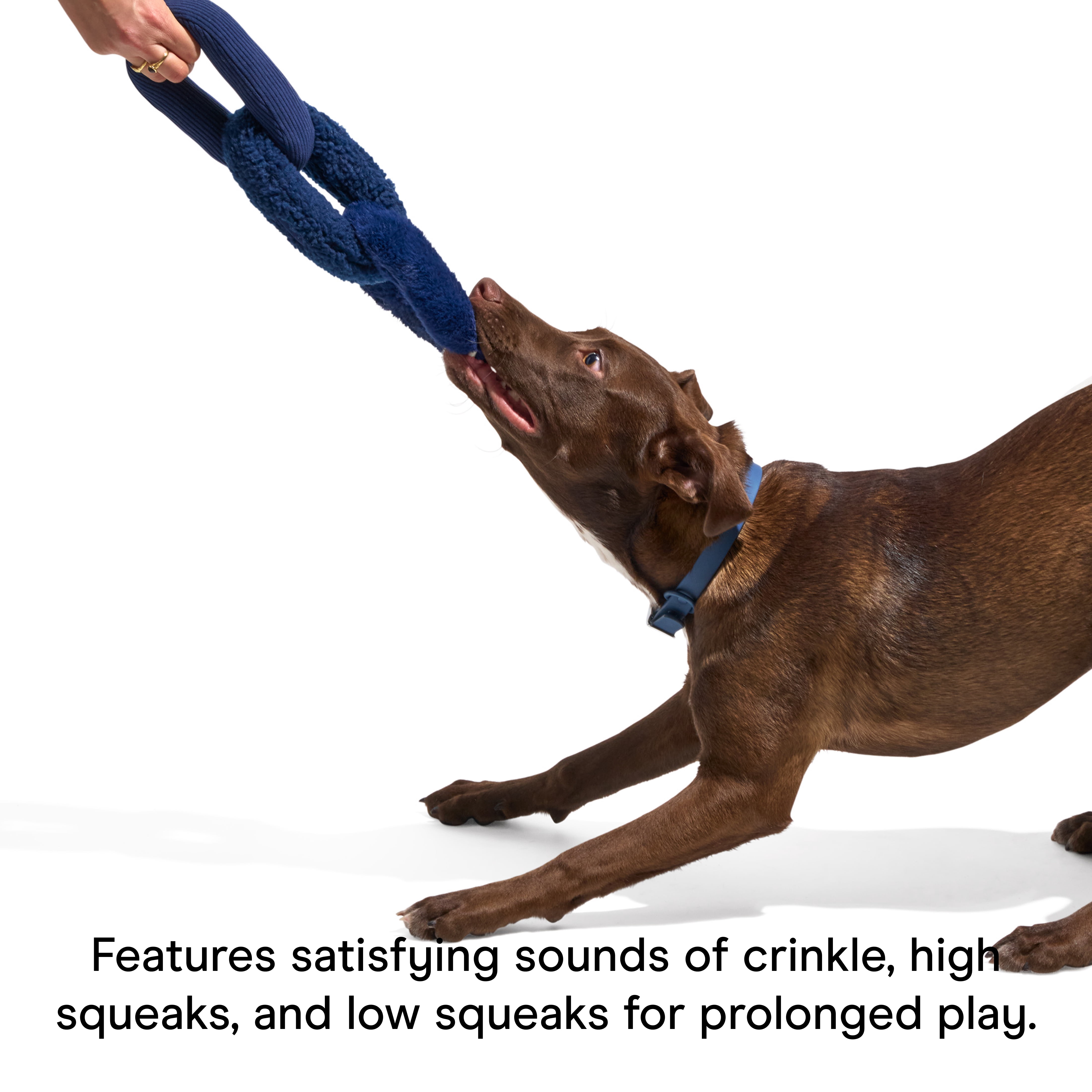 Wild One Durable Plush Chew Chain Dog Toy, Mental Enrichment with Squeaker, For Moderate Chewers, Navy Blue