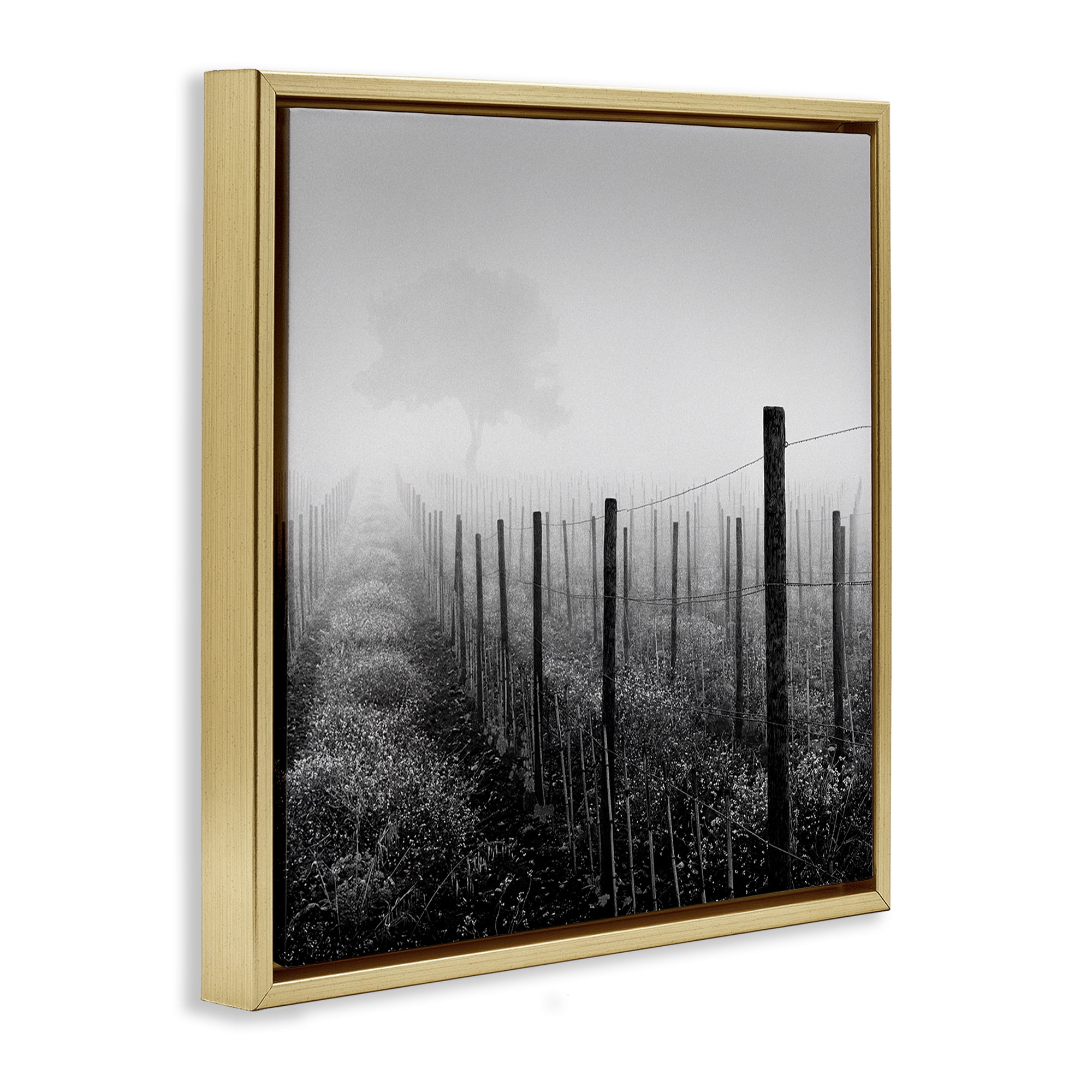Stupell Industries Vineyard at Dawn Landscape & Nature Photography Gold Floater Framed Canvas Art Print Wall Art, 18 x 18
