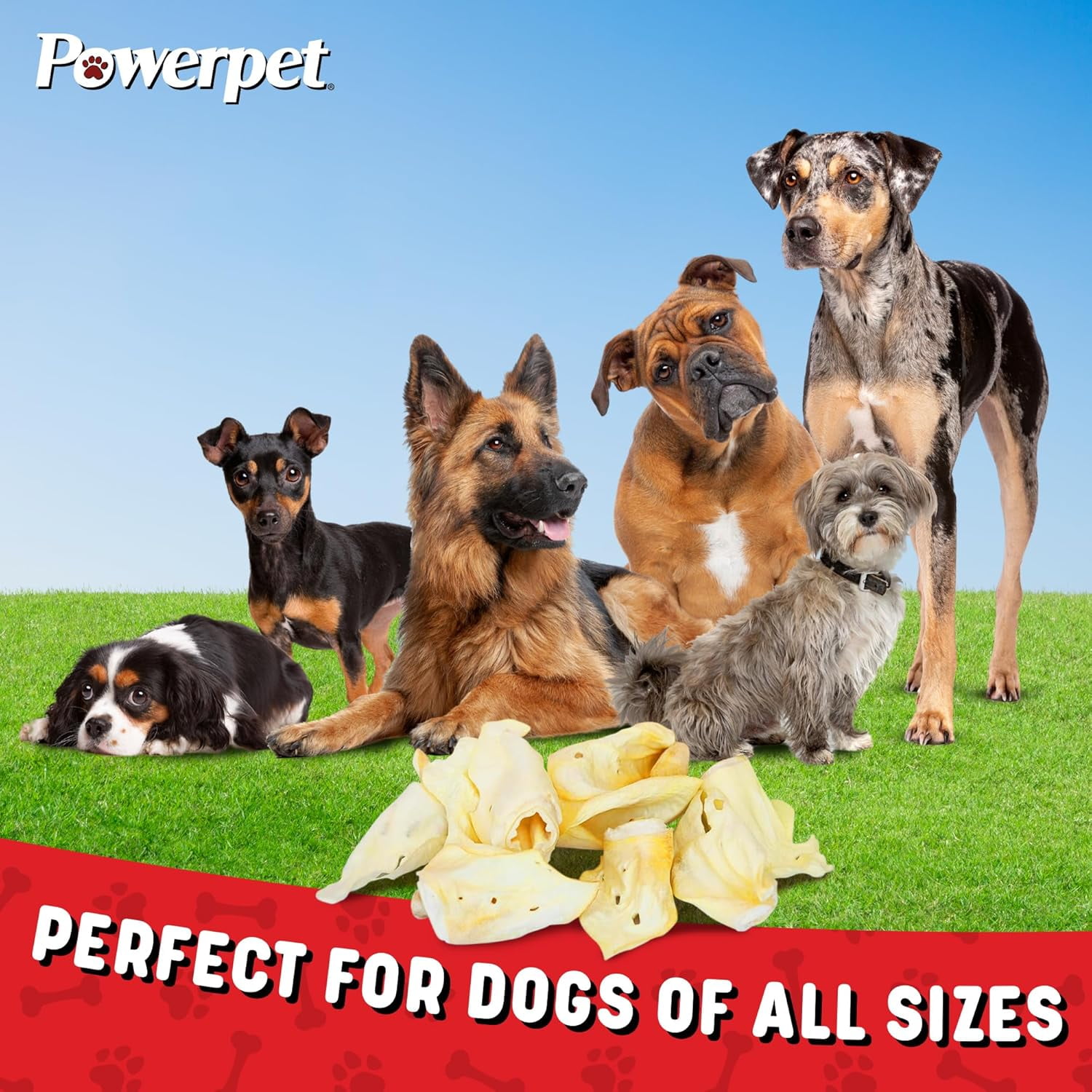 Powerpet Beef Ears, Dental Treats for Dogs - High Protein, Low Fat - 100 Pieces Bag