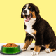 thumbnail image 5 of Plato Para Perro Tazón Grande Verde Importadora La Merced Aluminio Antiderrapante, 5 of 5