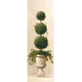 thumbnail image 4 of Welby 11x24 Black Modern Wood Framed Wall Art Titled - Roman Topiary II, 4 of 6