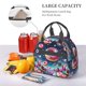 thumbnail image 5 of Easygdp Starry Sky Colorful Donut Caja de Almuerzo para Mujeres y Hombres, Bolsa de Almuerzo Insulada, Bolsas Reutilizables Impermeables para Viajes, Trabajo y Picnics, 5 of 7