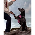 thumbnail image 4 of HAHDAXIA Anti-Pull Dog Harness for Small Dogs, Reflective Soft Padded Dog Harnesses, Adjustable, Breathable Chest Harness with Safe Easy Control Handle, Black, S, 4 of 6