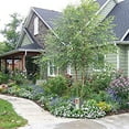 thumbnail image 6 of Algreen Faux Rock Cover, Large Outdoor Decorative Lawn & Garden Accent, Warm Gray, 6 of 7