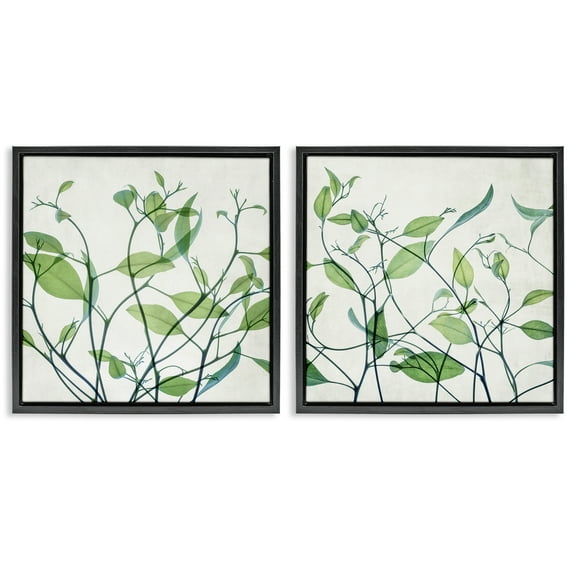 Stupell Industries Green Botanical Leaves Xray Plants & Flowers Painting Black Floater Framed Canvas Art Print Wall Art, 18 x 18, Set of 2