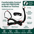 thumbnail image 4 of Sporn Medium Dog Head Halter for Dogs, Black Dog Stop Pulling Leash Harness with Thick Dog Muzzle Harness No Pull Dog Head Collar for Dogs, Anti Pulling Dog Collar, 4 of 7