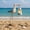 Blue Seagull, variant on Solar Seagull Statues for Garden and  Decor,Funny Garden Decor Beach,Pool,Patio,Lawn,Yard,Porch, Garden