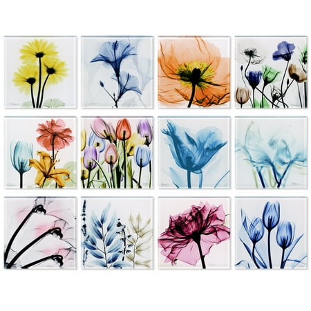 

Pretty Bouquet Coasters Super White Glass Coasters with Cork Bottom - set of 12 florals