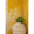 thumbnail image 2 of Vase holding a plant against a yellow wall; Chania  Crete  Greece Poster Print, 2 of 2