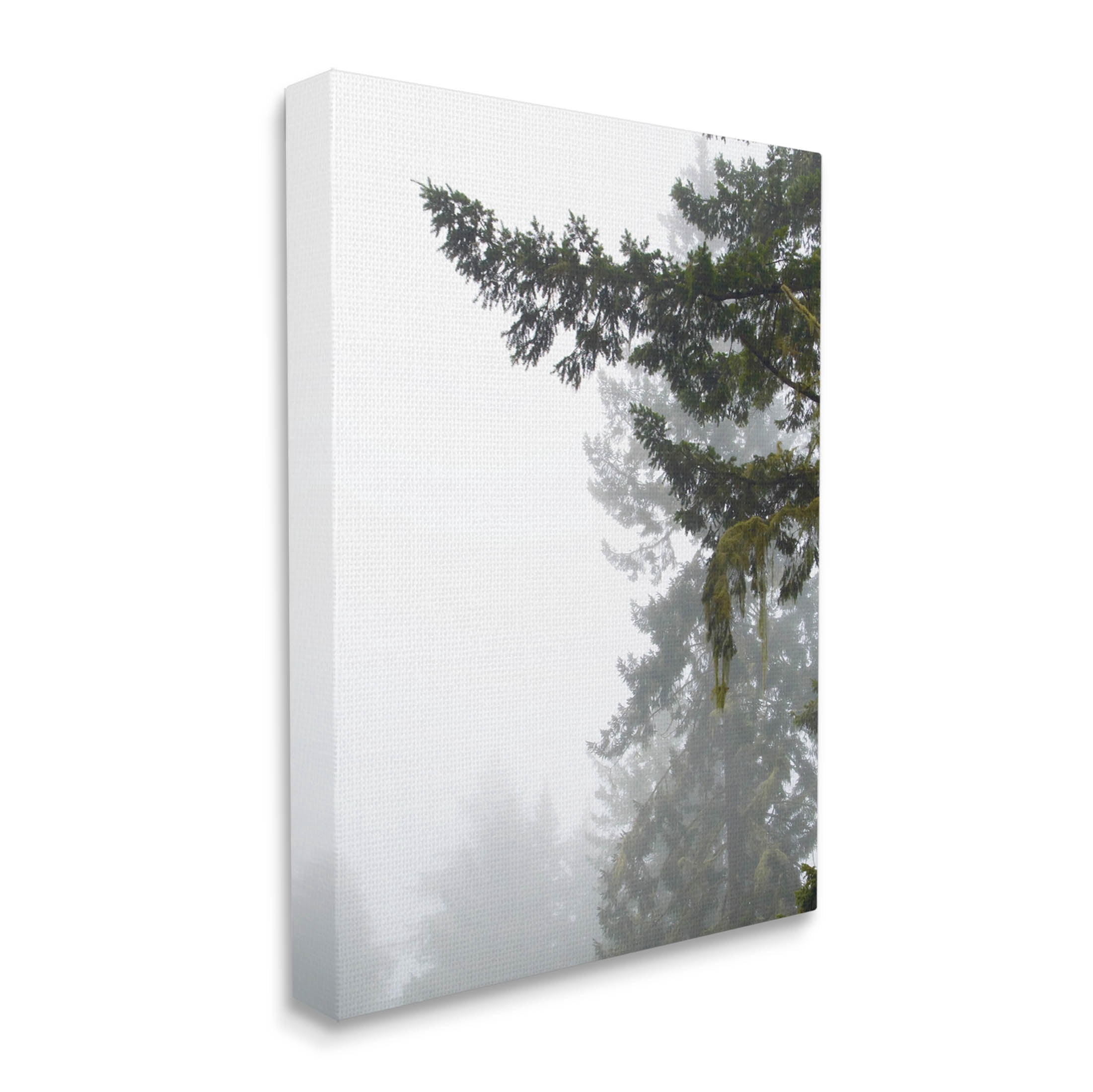 Stupell Industries Majestic Pine Tree Overhang Photograph Gallery Wrapped Canvas Print Wall Art, Design by Debra Van Swearingen
