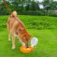 thumbnail image 4 of Botella dispensadora de agua para mascotas para exteriores con cuenco adjunto, botella portátil impermeable para perro de viaje y gatos, plástico multicolor, 18,5 cm, 250 g, 1 paquete, 4 of 6