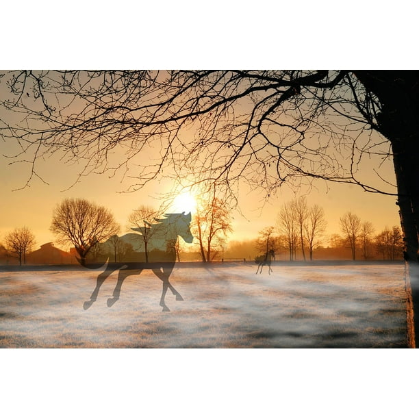 Fog Mood Sun Landscape Nature Sky Horses Sunset 20 Inch By 30 Inch Laminated Poster With Bright Colors And Vivid Imagery Fits Perfectly In Many Attractive Frames Walmart Com Walmart Com