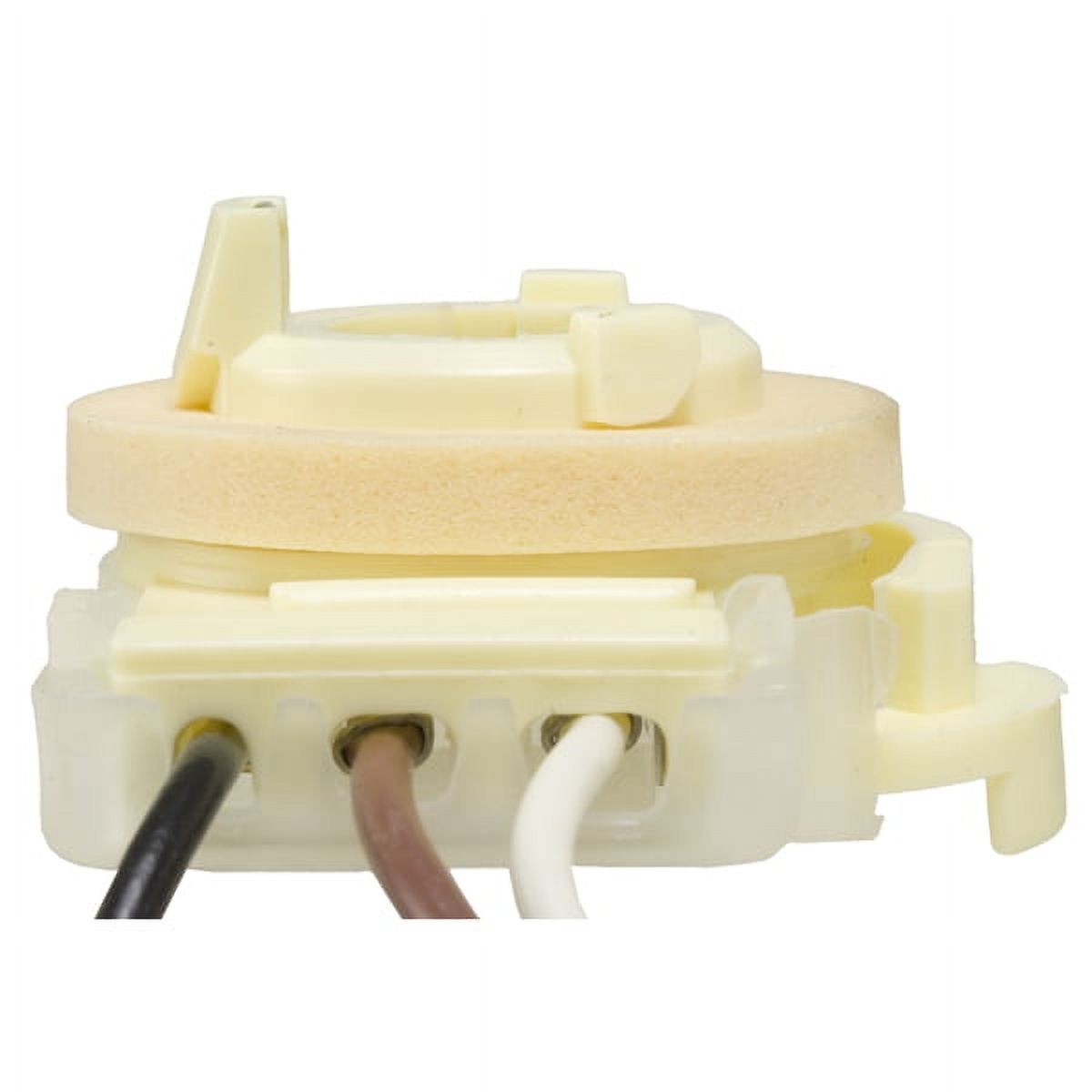 Tail Light Socket