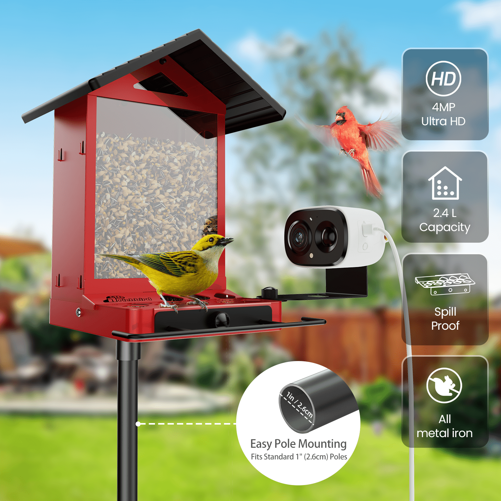 Coolfly x Richbird All-Metal Smart Bird Feeder with 2.5K HD Solar Camera, Squirrel-Resistant Large Capacity Bird House with Free AI Bird Identification & Phone Notifications - White