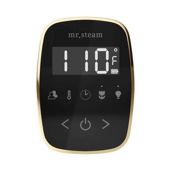 Mr Steam TempoFlex Steam Shower Control and Steamhead in Black Satin Brass