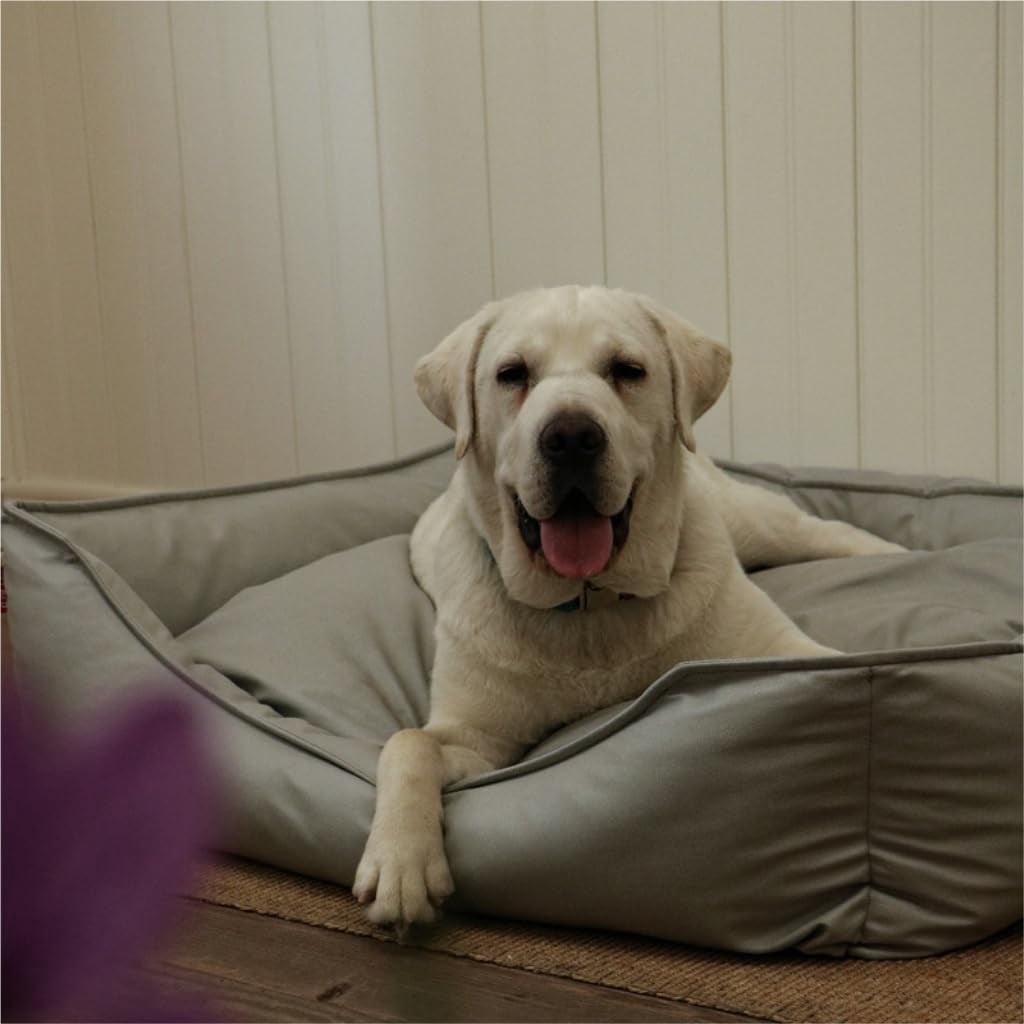 RKXQT Dog Bed Creative Waterproof Kennel Pet Bed Sofa Cat Kennel Supplies Kennel Sponge Removable and Washable Comfortable Dog Bed Pet Bed