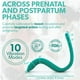thumbnail image 3 of Herramienta de masaje perineal Intimate Rose con 10 modos de vibración, 3 of 9