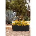 thumbnail image 5 of Veradek Demi Series Black Garden Bed 42" Self-Watering Planter (2 Pack), 5 of 10