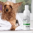 thumbnail image 3 of Nexderma Mint Antiseptic and Antifungal Hypoallergenic Medicated Mint Shampoo for Dogs & Cats, Tearless Pet Shampoo for Allergies, Dry, Itchy,& Sensitive Skin, Promotes Healthy Skin & Coat - 4oz, 3 of 9