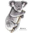 thumbnail image 3 of CafePress - Koala White T Shirt - Men's White Classic Cotton T-Shirts, 3 of 4