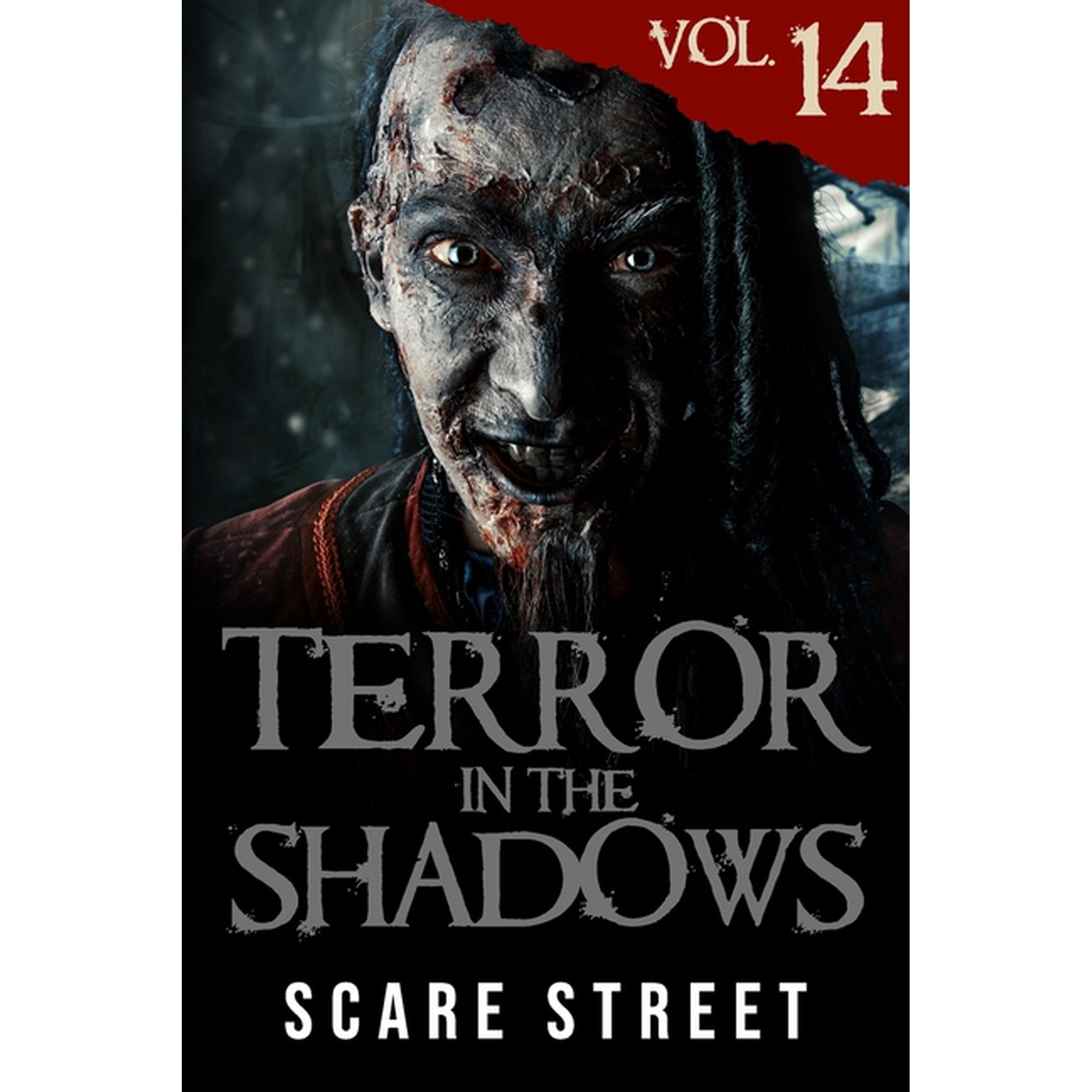 Terror in the Shadows Terror in the Shadows Vol. 14: Horror Short Stories Collection with Scary Ghosts Paranormal & Supernatural Monsters Book 14 (Paperback)