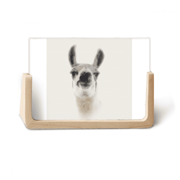 Disdain Alpaca Ears Pout Art Deco Fashion Photo Wooden Photo Frame Tabletop Display