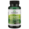 Swanson Controlled Release Curqfen Curcumin/Fenugreek Complex 500 mg 60 Veggie Capsules