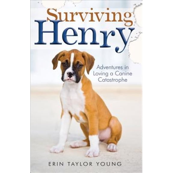 Pre-Owned Surviving Henry: Adventures in Loving a Canine Catastrophe (Paperback) 0800723562 9780800723569