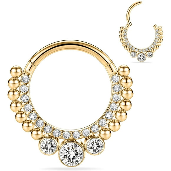 FFIY Septum Jewelry 16G Septum Ring Septum Piercing Unique Design Daith Piercing Jewelry 316L Surgical Steel Clicker HOPP Segment Hinged Nose Rings Hoop Cartlidge Helix Rook Earrings