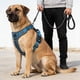 thumbnail image 1 of Arnés para mascotas | Malla transpirable reflectante sin mangas para perros y gatos. Correas ajustables para el pecho y el cuello | Acolchado suave para mayor comodidad | Paseos nocturnos segu, 1 of 5