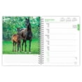 thumbnail image 3 of Horse Lovers | 2024 6x7.75" Wire-O Engagement Planner Calendar | BrownTrout, 3 of 8