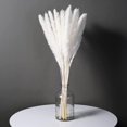 thumbnail image 2 of De Flores De Caña Secas Naturales Blancas, Hierba De Pampa, Fragmitas, Ramo De Flores Secas, Decoración Moderna Para El Hogar, Fiesta De Boda 15 Uds. Noticed HA042262-01, 2 of 6