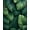 Green, Pattern 7, variant on ODIKA 4'x6' Machine Washable Non-Slip Area Rug, Monstera Jungle Abstract with Large Scale Plant Inspired Graphics High Traffic Rug, Green, 149875