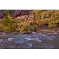thumbnail image 2 of Illg, Cathy and Gordon 32x23 Gold Ornate Wood Framed with Double Matting Museum Art Print Titled - USA, Utah, Zion NP Autumn on the Virgin River, 2 of 4