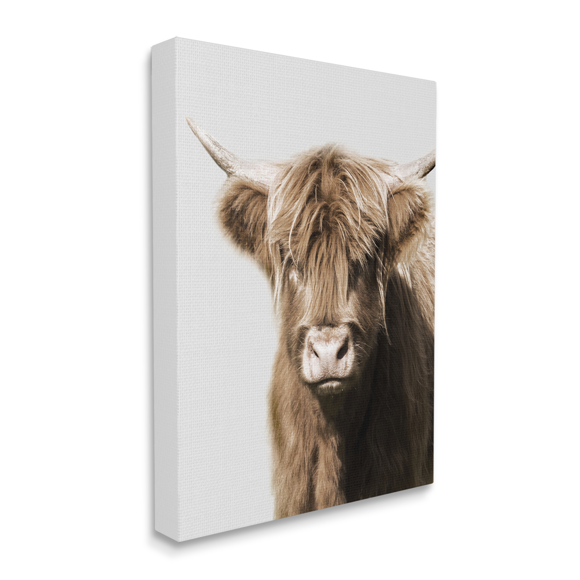 Stupell Industries Highland Cattle Close-Up Animals & Insects Photography Gallery Wrapped Canvas Art Print Wall Art, 24 x 30