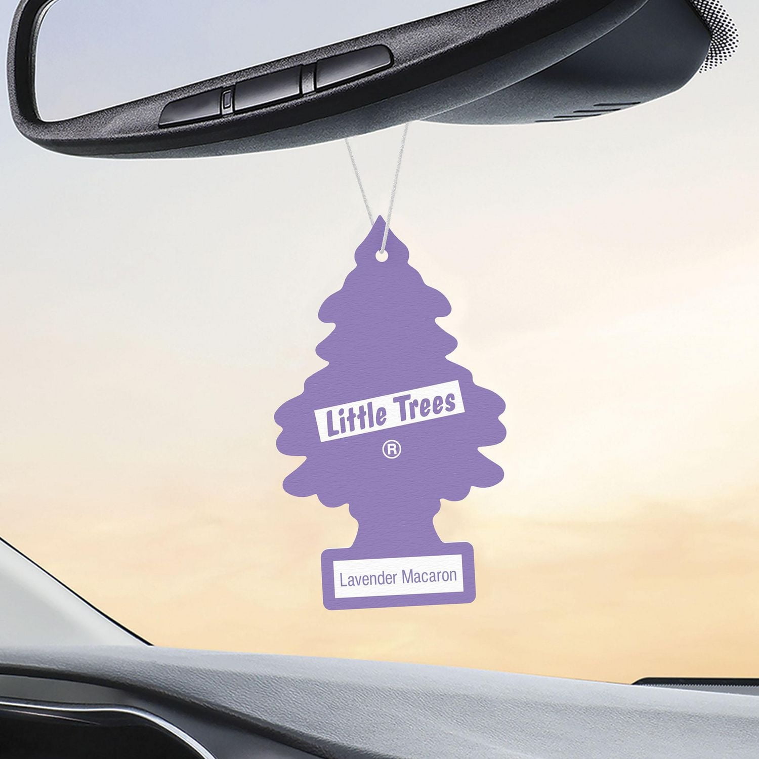 LITTLE TREES air freshener Lavender Macaron 3-Pack LT Lavender Macaron 3-Pack