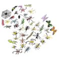 thumbnail image 2 of 42 Uds. De insectos falsos, Mini insectos realistas, juguetes educativos para niños pequeños, 2 of 3