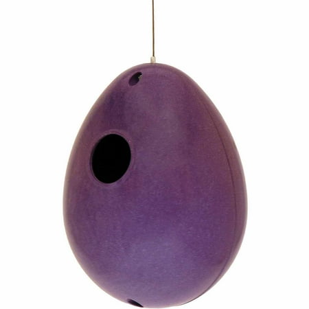 Rosso's International P57-15 Eggplant Ec