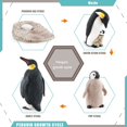 thumbnail image 2 of 4pcs Realistic Penguins Growth Cycle Models Delicate and Compact Animals Figurines for Kids Scientific Cognitive Toys, 2 of 2
