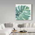 thumbnail image 3 of Trademark Fine Art 'Mixed Greens LXXIII' Canvas Art by Lisa Audit, 3 of 3