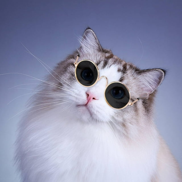 CEHVOM Lunettes de Mode pour Chien, Chats, Animaux, Tendance Créative, Prise de Photo, Monture Ronde, Petites Lunettes de Soleil, Poupée Jouet, Lunettes de Soleil Rétro en Liquidation