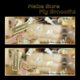 thumbnail image 4 of Pistola de juguete JALAROMA Make It Rain con 100 piezas de papel, 200 unidades, para fiestas, 4 of 7