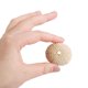 thumbnail image 4 of Conchas marinas Coquillage Natural Sea Urchin Air Pineapple Bonsai Shells Craft, 4 of 7