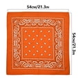 thumbnail image 3 of Promotion de Ventes Chaudes Bandeaux Polyester Multi-Usages Cowboy 22x22 Pouces, 3 of 5
