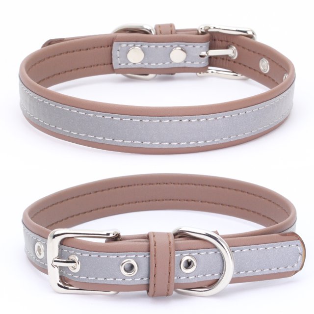 Collier pour Chien Laisse pour Chien Plaque en Acier Inoxydable Réfléchissante Lettrage Collier Lumineux pour Animal de Compagnie Café/g