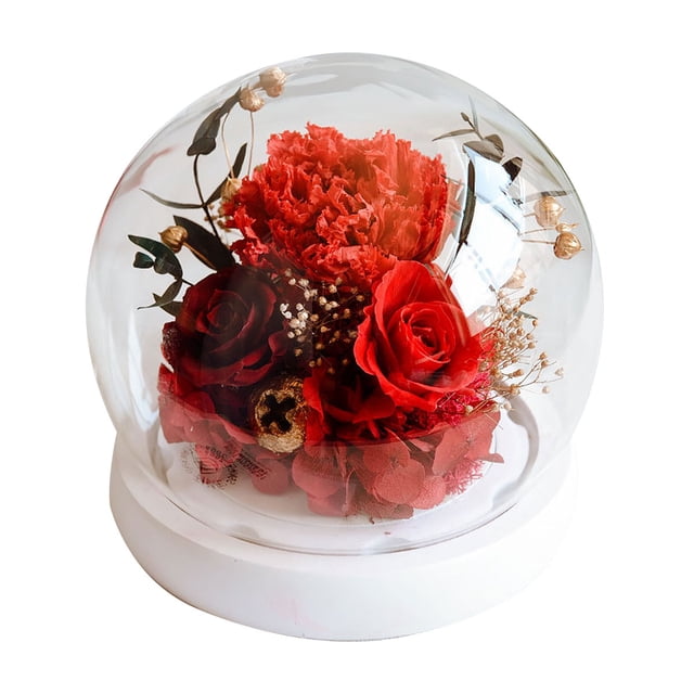 Decoración de flores eternas, cubierta de cristal esférica de clavel rosa con luz, regalo de cumpleaños, regalo de vacaciones para familiares y amigos